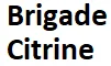 Featured Image of Brigade Citrine Logo